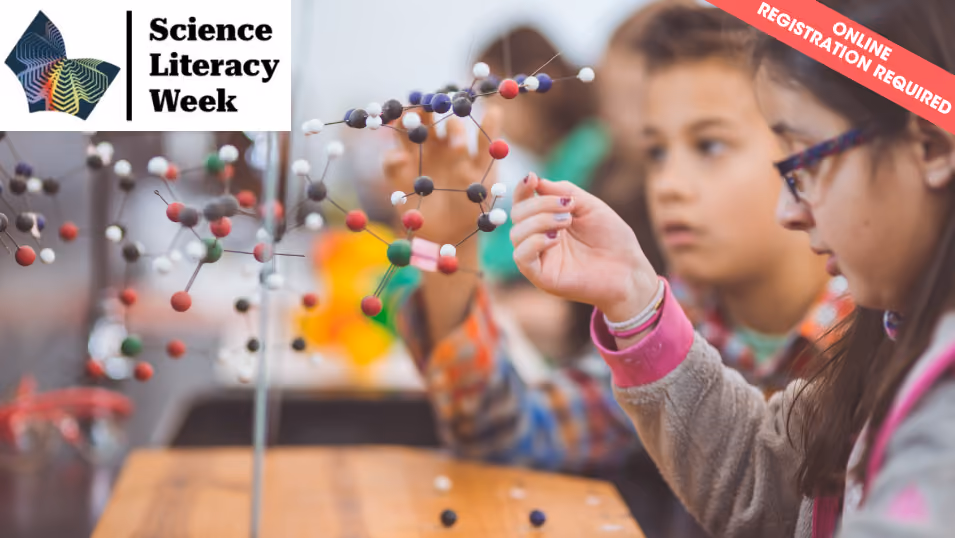Curiosity, Unleashed (ages 7 - 9)
