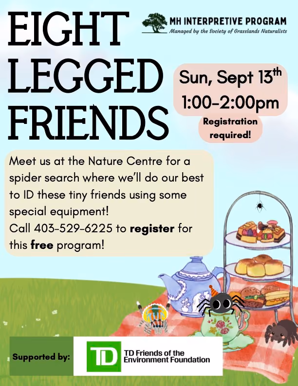 Eight-Legged Friends