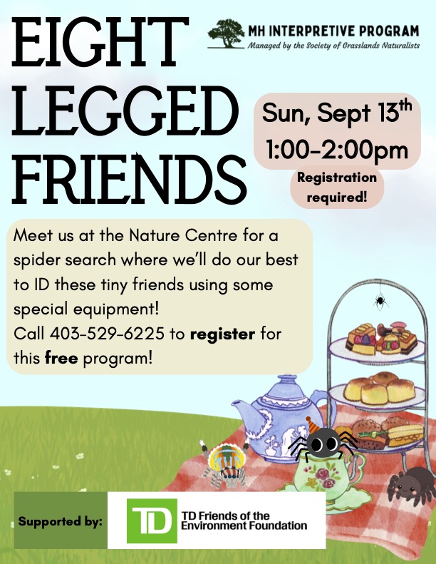 Eight-Legged Friends