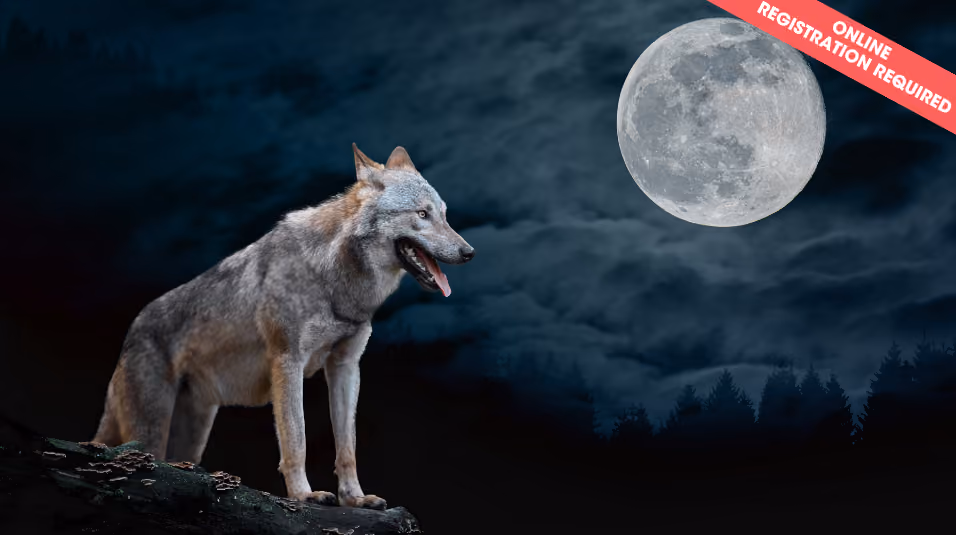 Werewolf: A Game of Trust & Betrayal