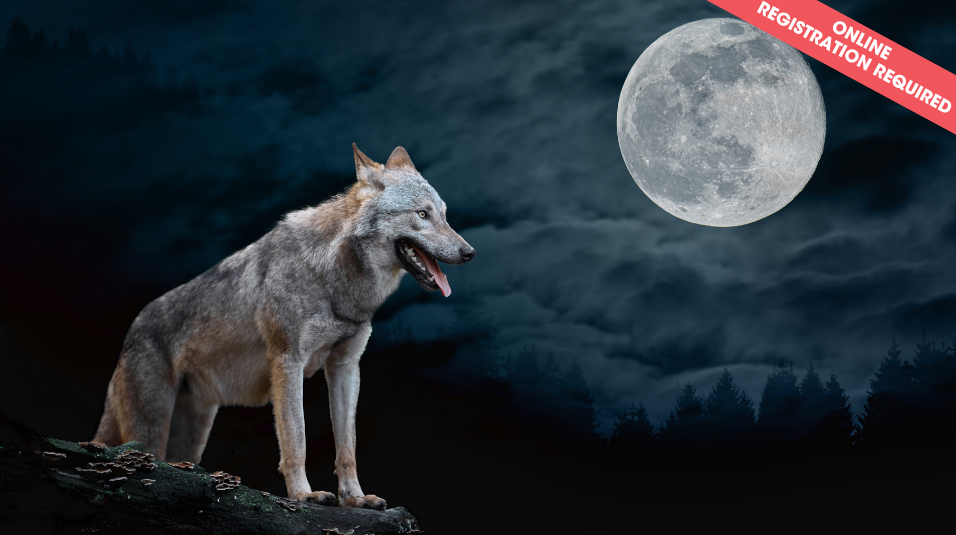 Werewolf: A Game of Trust & Betrayal