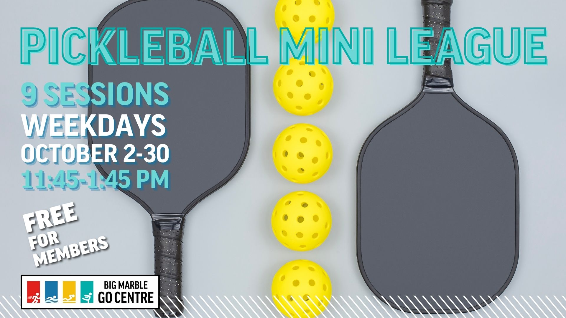 Pickleball Mini League