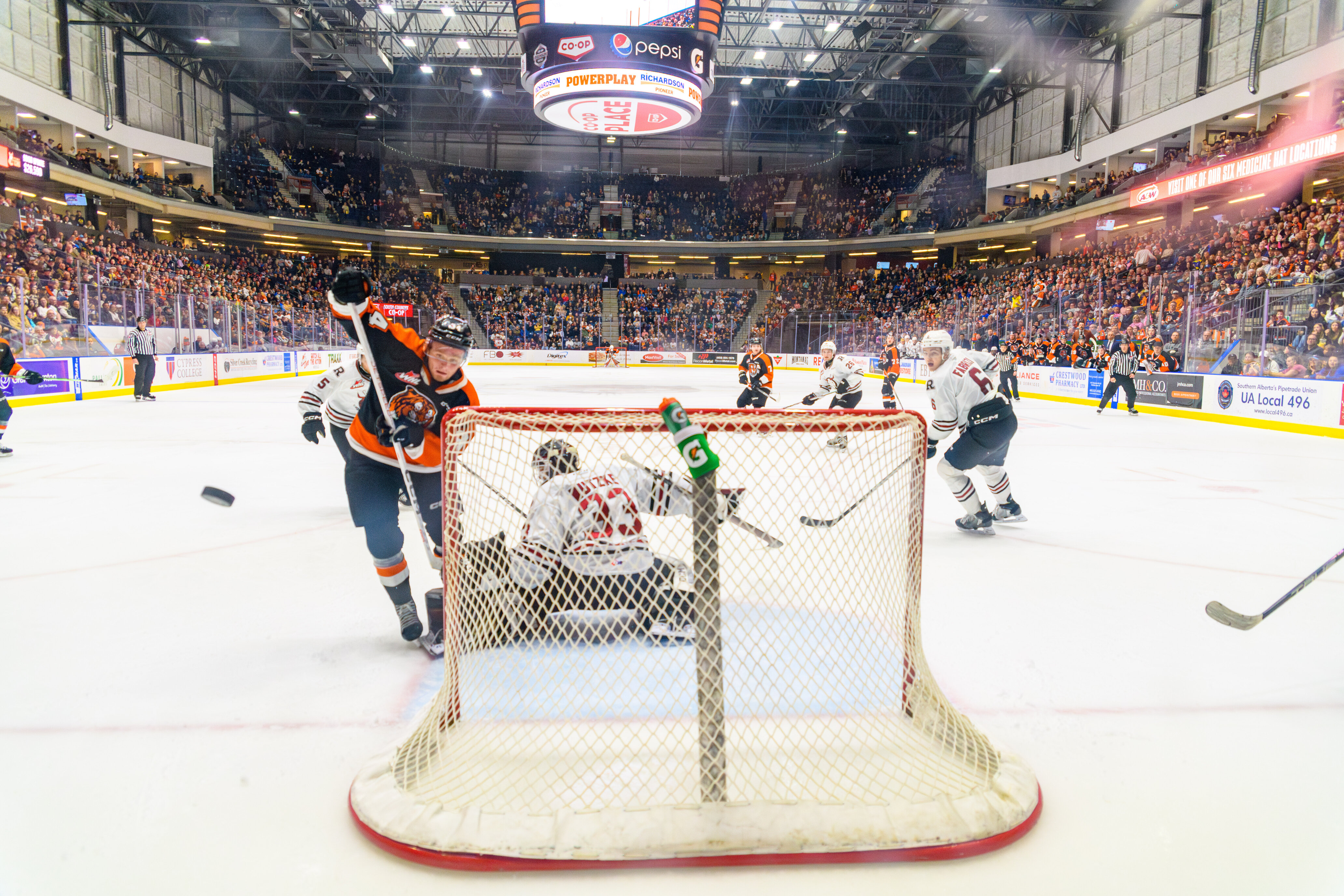 Medicine Hat Tigers Home Game | Feb. 6