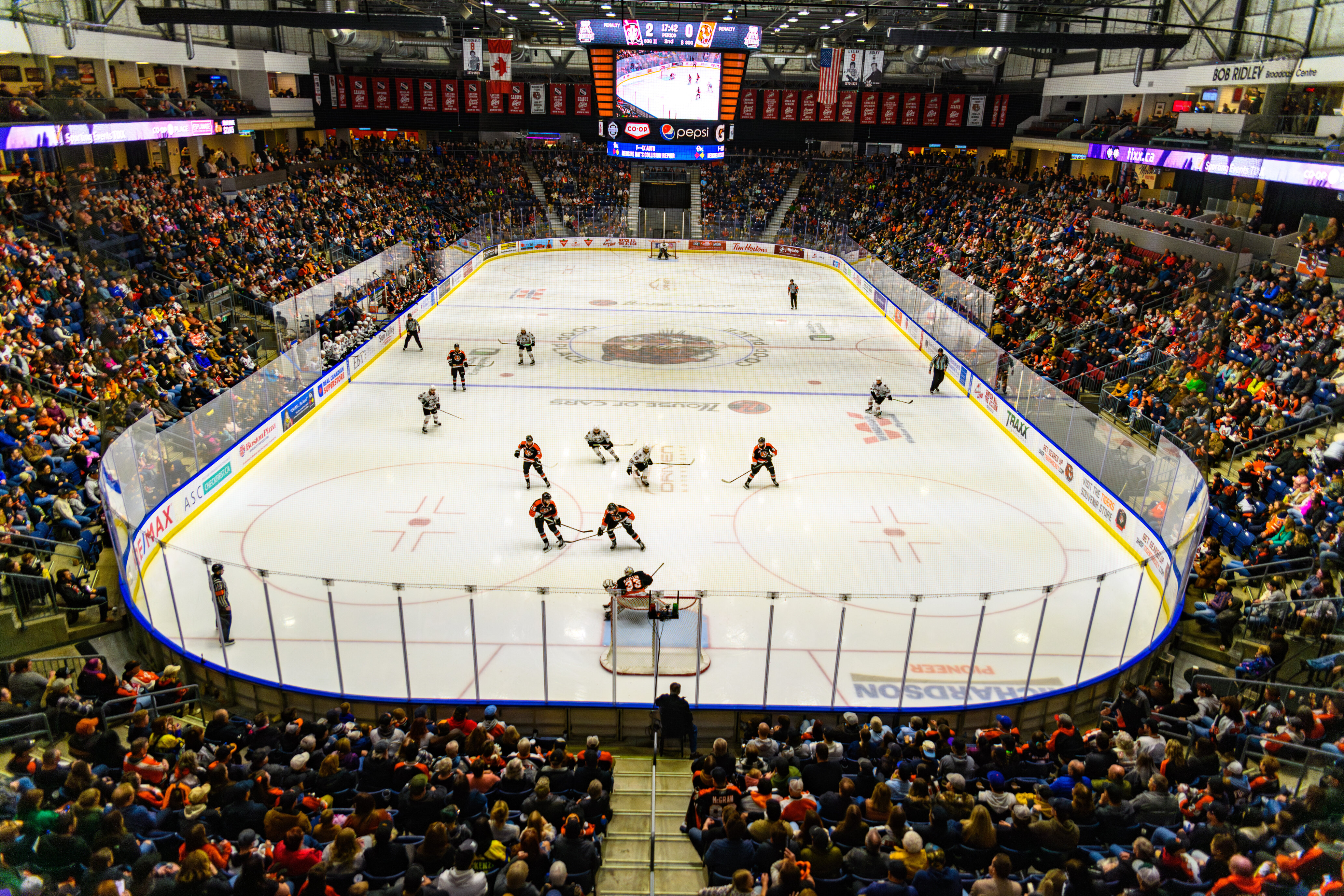 Medicine Hat Tigers Home Game | Jan. 29