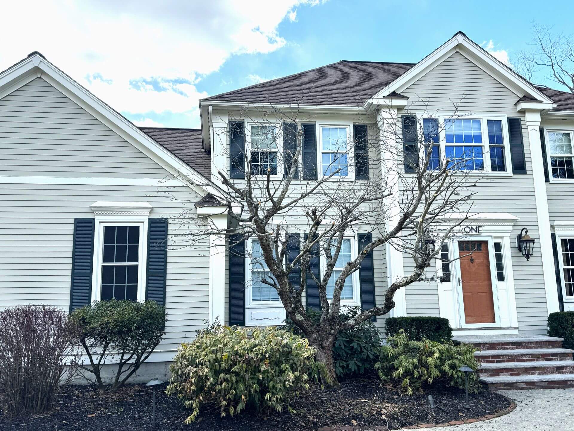 Pruning of Ornamental Tree