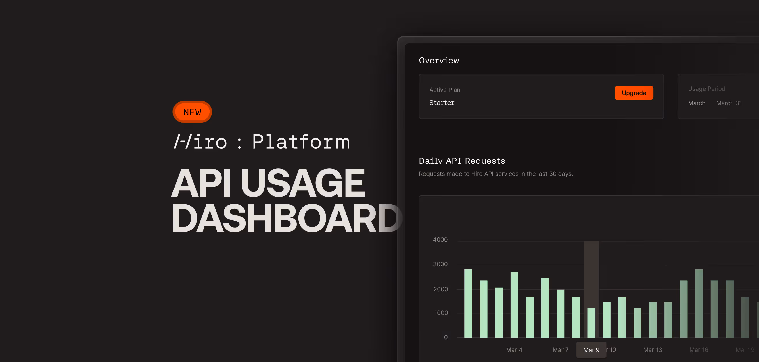 Introducing the API Usage Dashboard