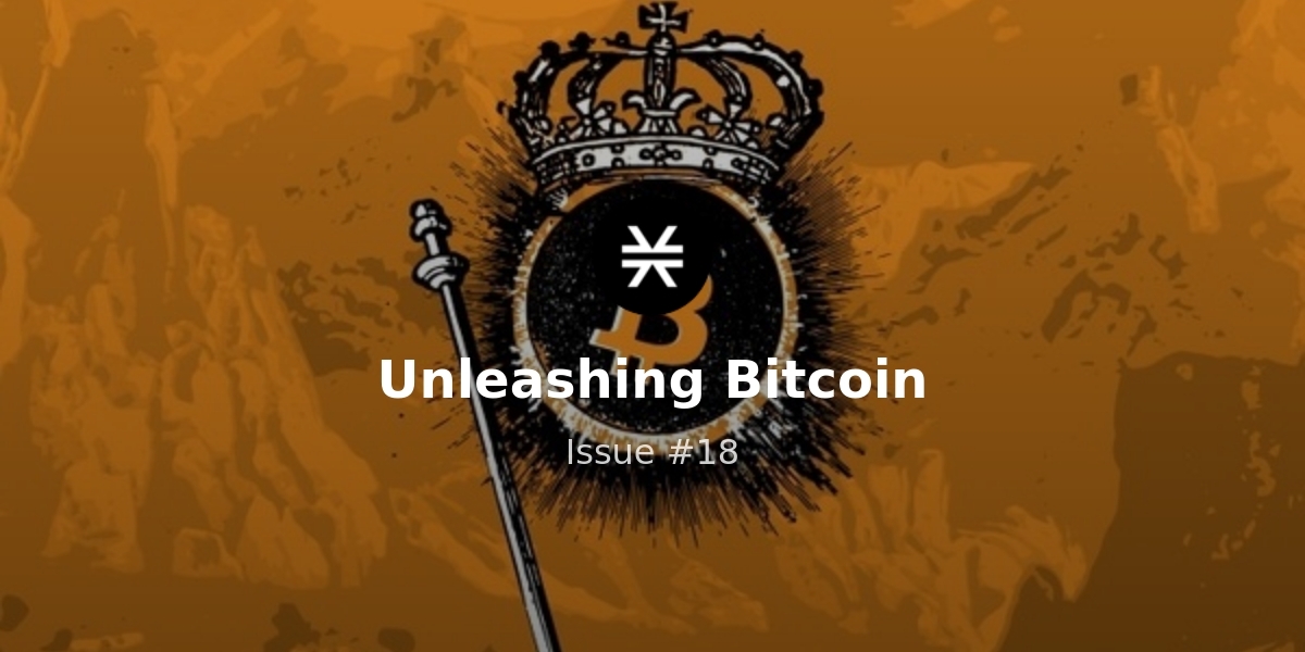 Bitcoin Builders Stay Bullish, Q2 Recap and Report