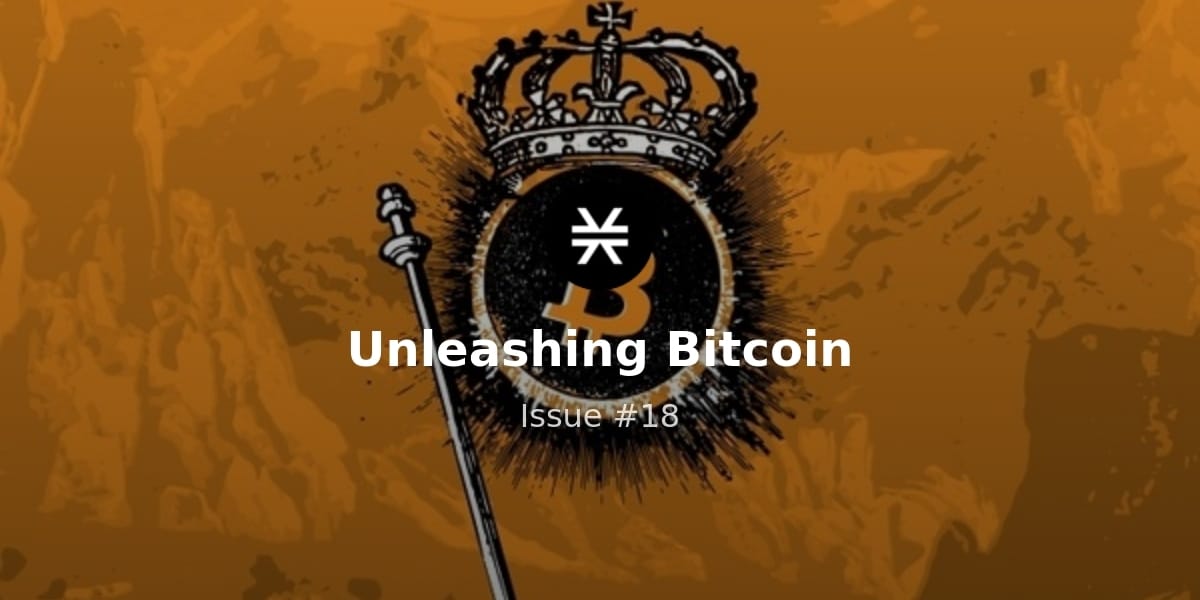 Bitcoin Builders Stay Bullish, Q2 Recap and Report