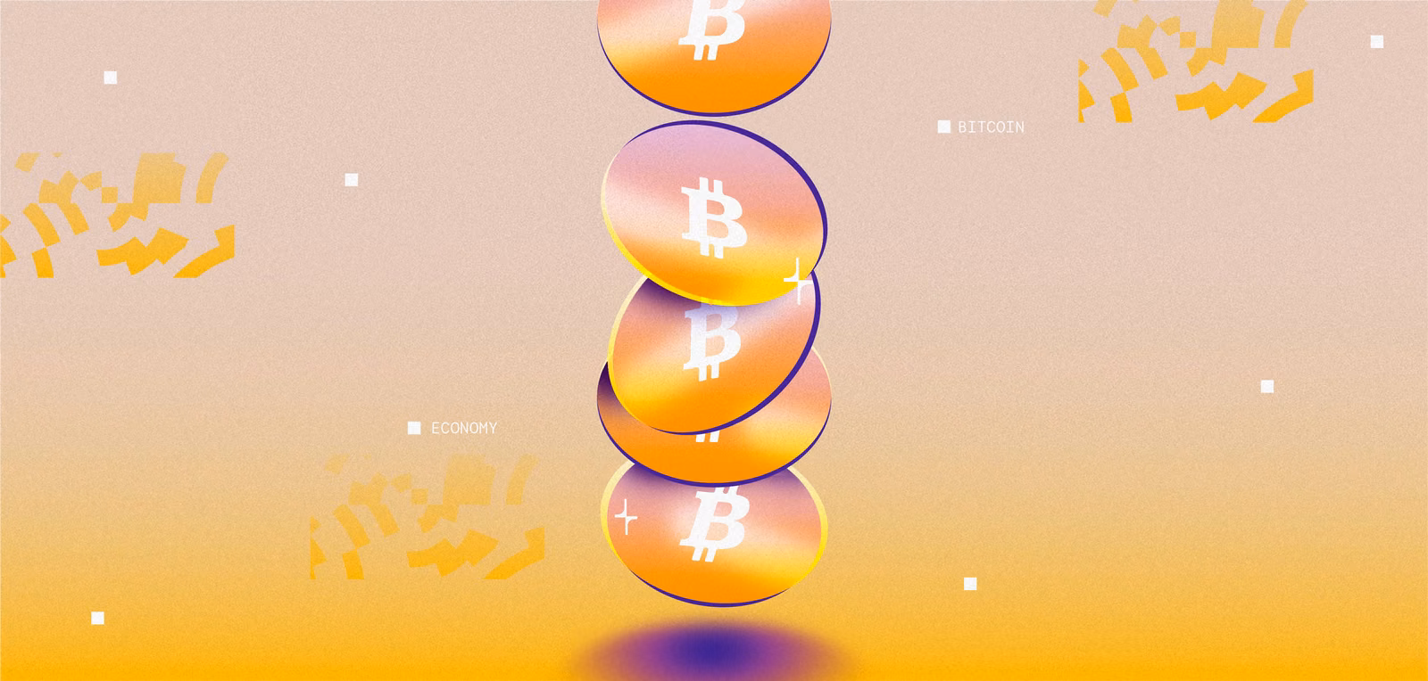 Exploring the Scope of the Bitcoin Economy Today