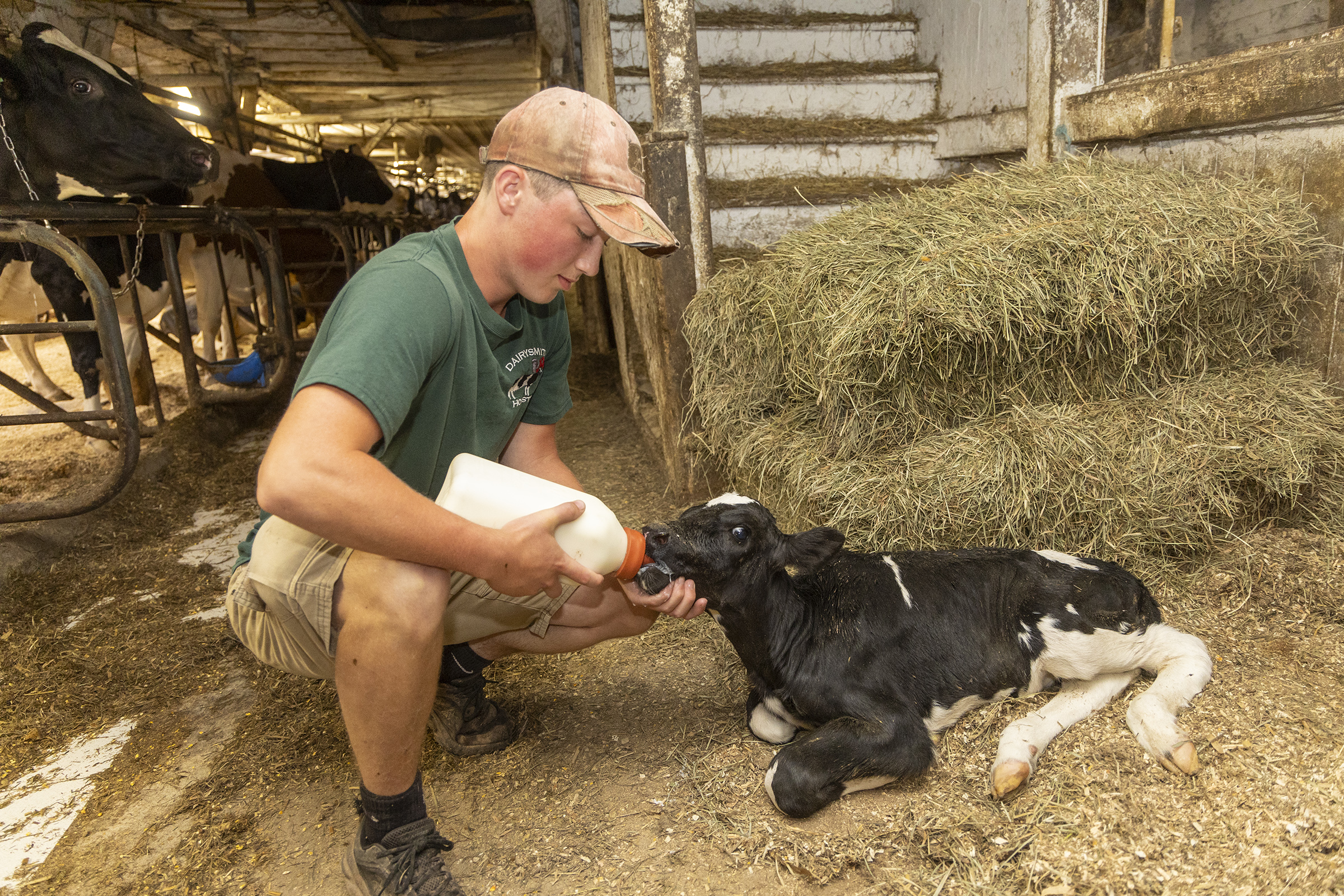 action shot of girl spiking volleyball