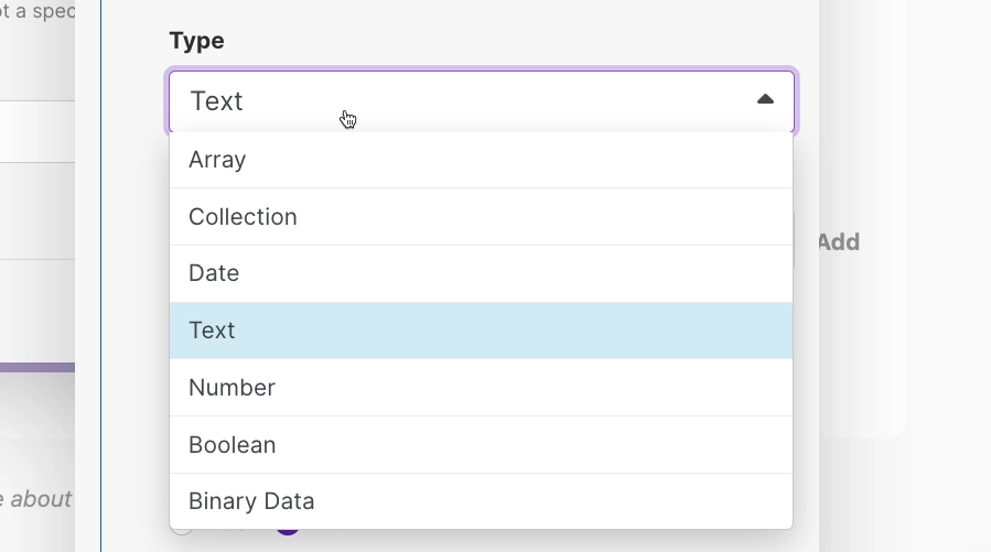 Data structure configuration - choosing an item's type