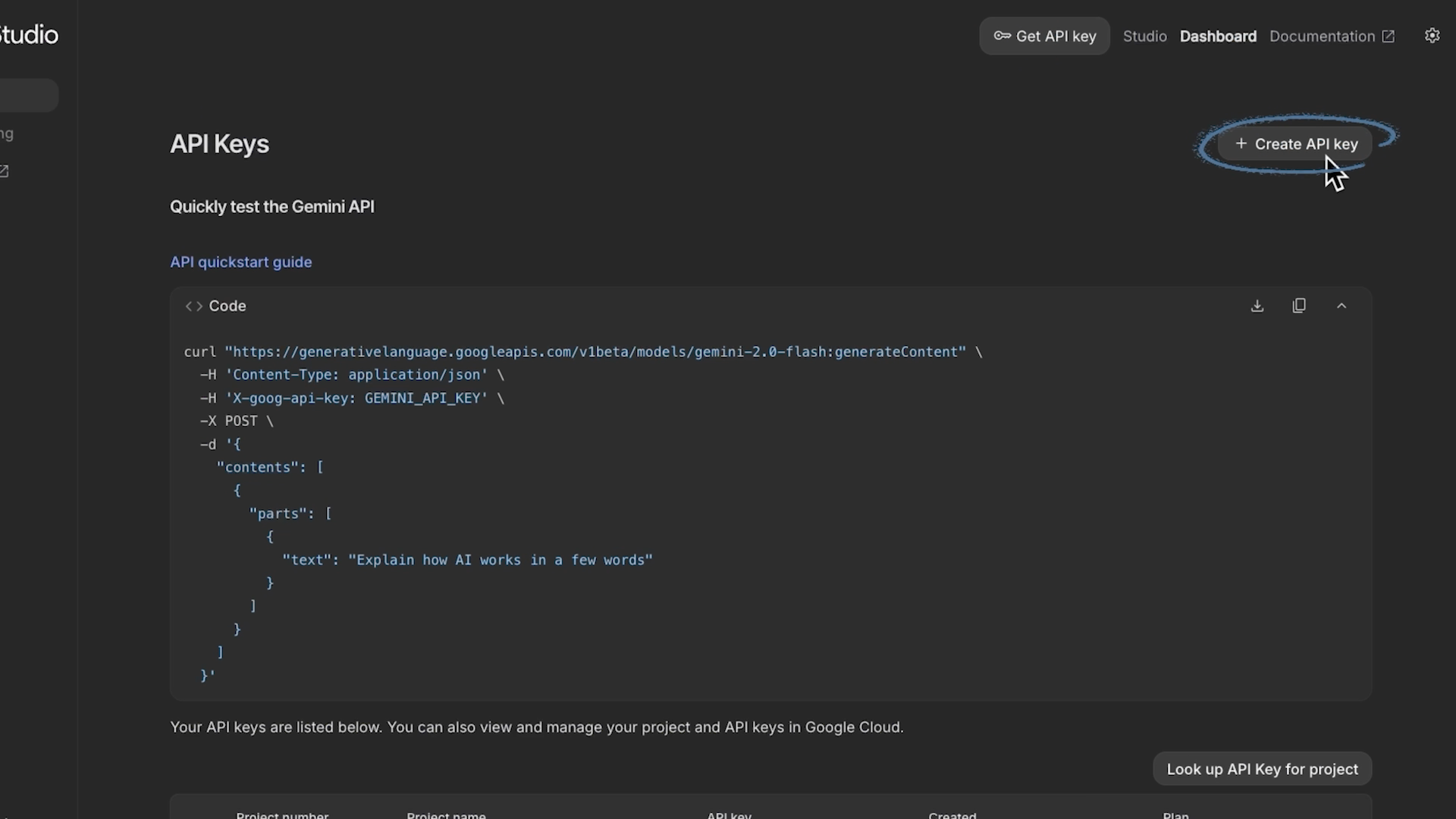 Creating an API key to automate Gemini AI