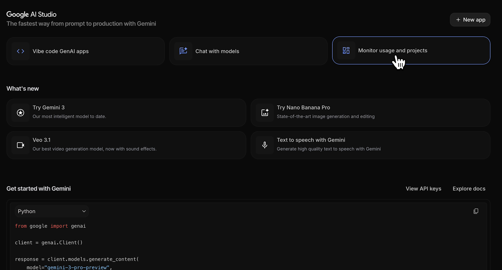 Several options in the Google AI Studio