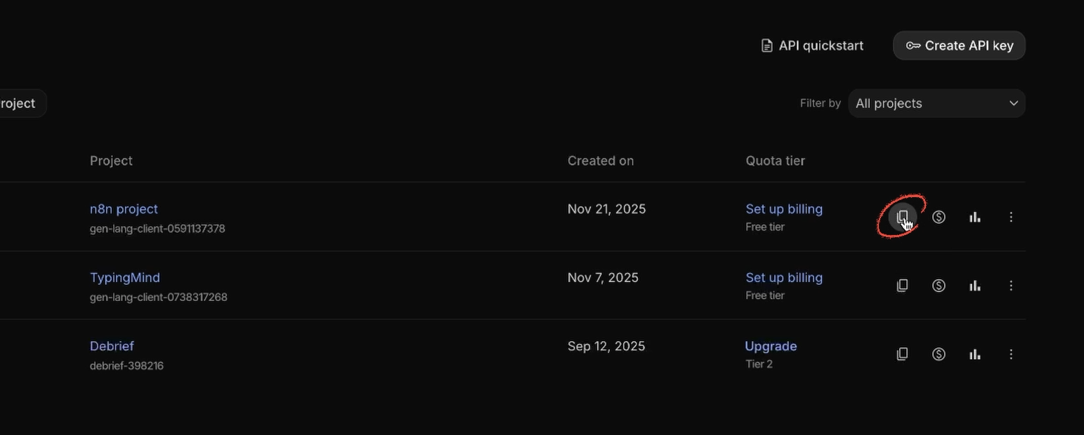 Copy a Gemini API key
