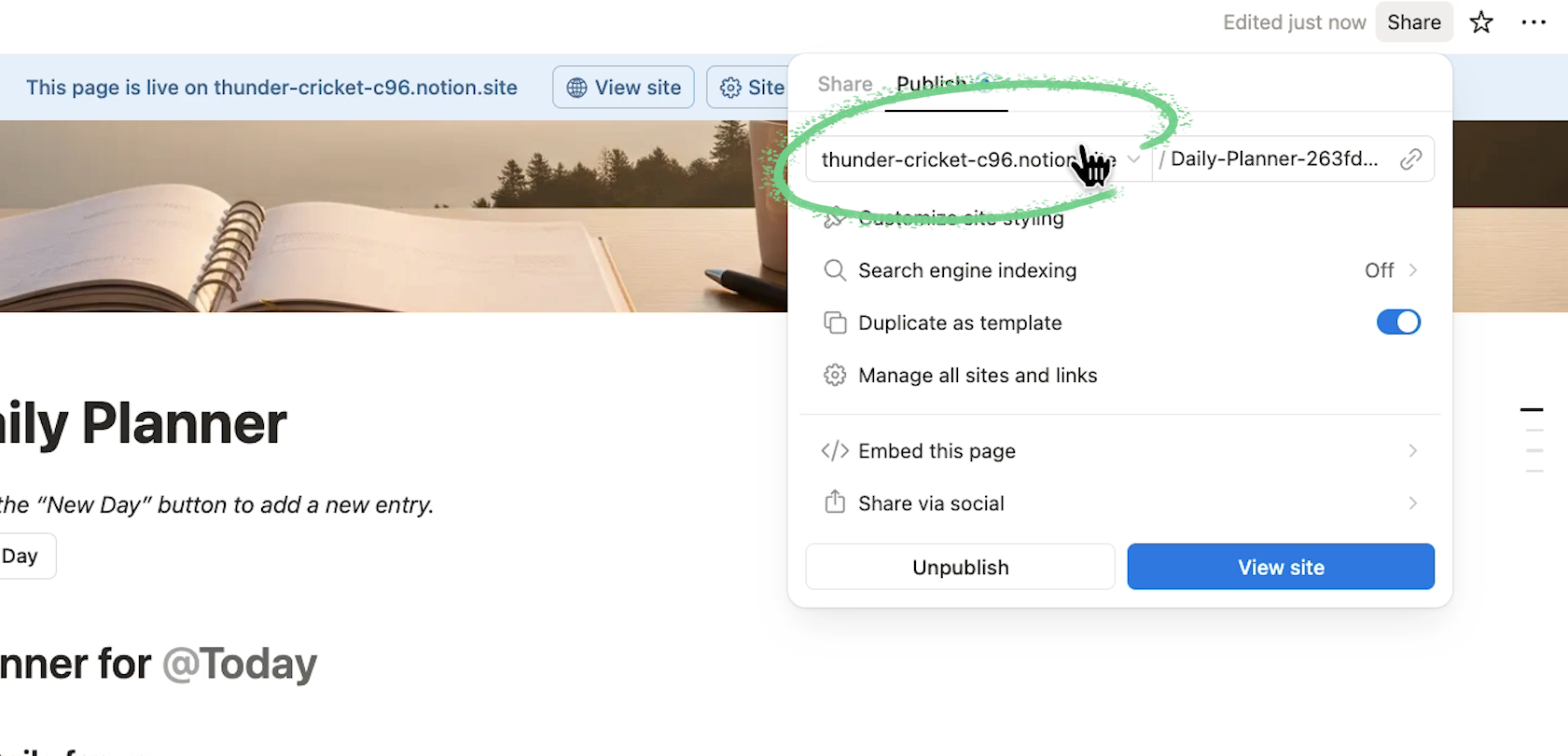 Copying a Notion site's URL