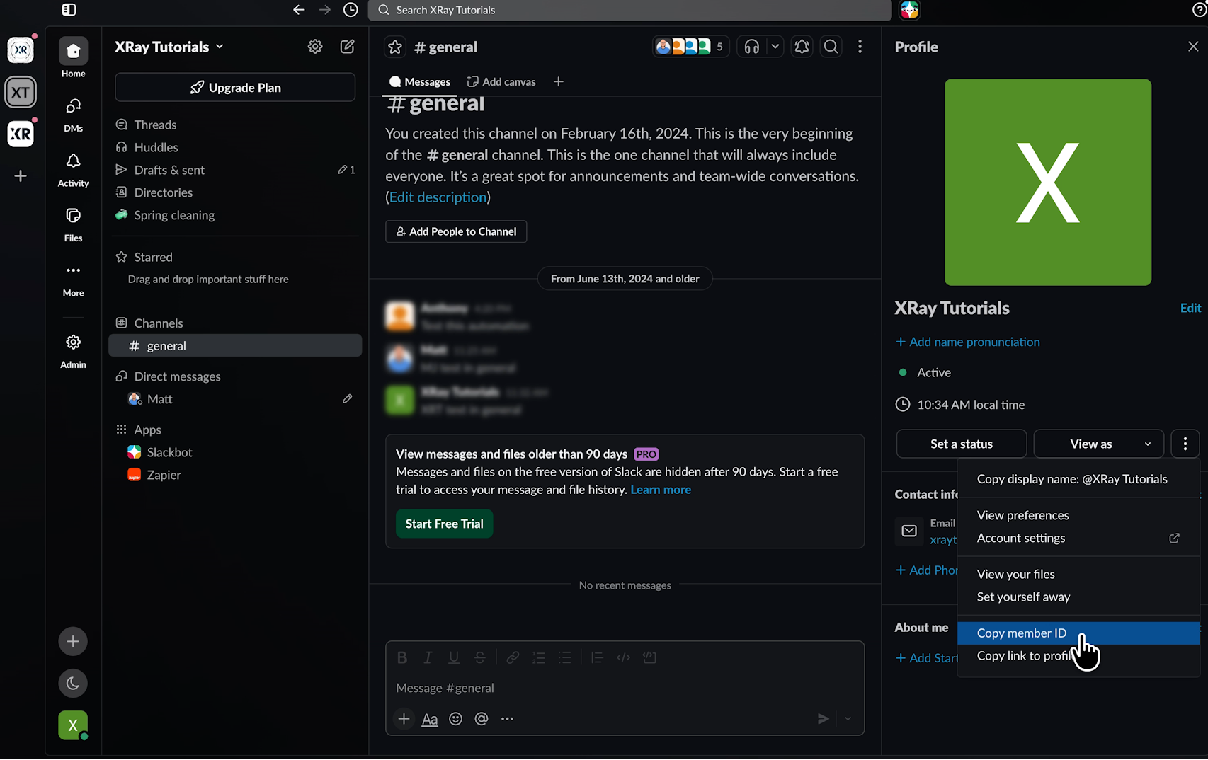 A desktop view of a user profile panel open within the Slack application workspace. A dropdown menu is open with a cursor executing a click on the "Copy member ID" row.