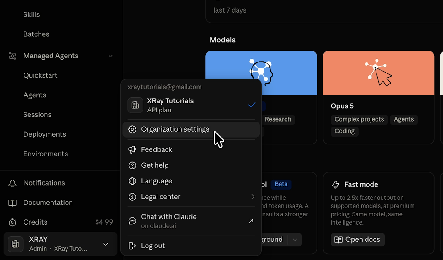 Navigating to organization settings in Claude Console