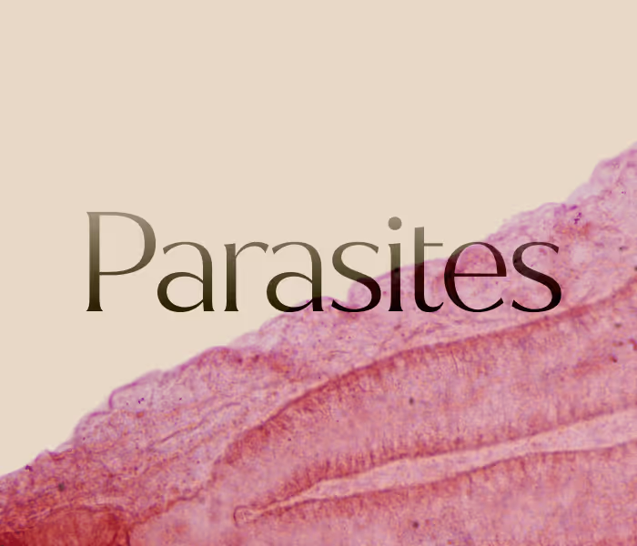 Uncovering the Hidden Culprits: Parasites, Toxins & Your Hormones