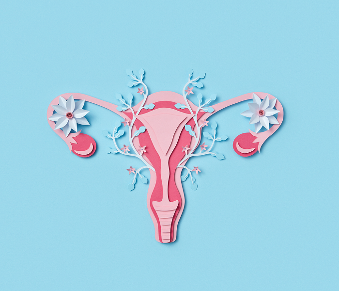 Perimenopause Explained: Early Signs, Hormone Changes, and What Help
