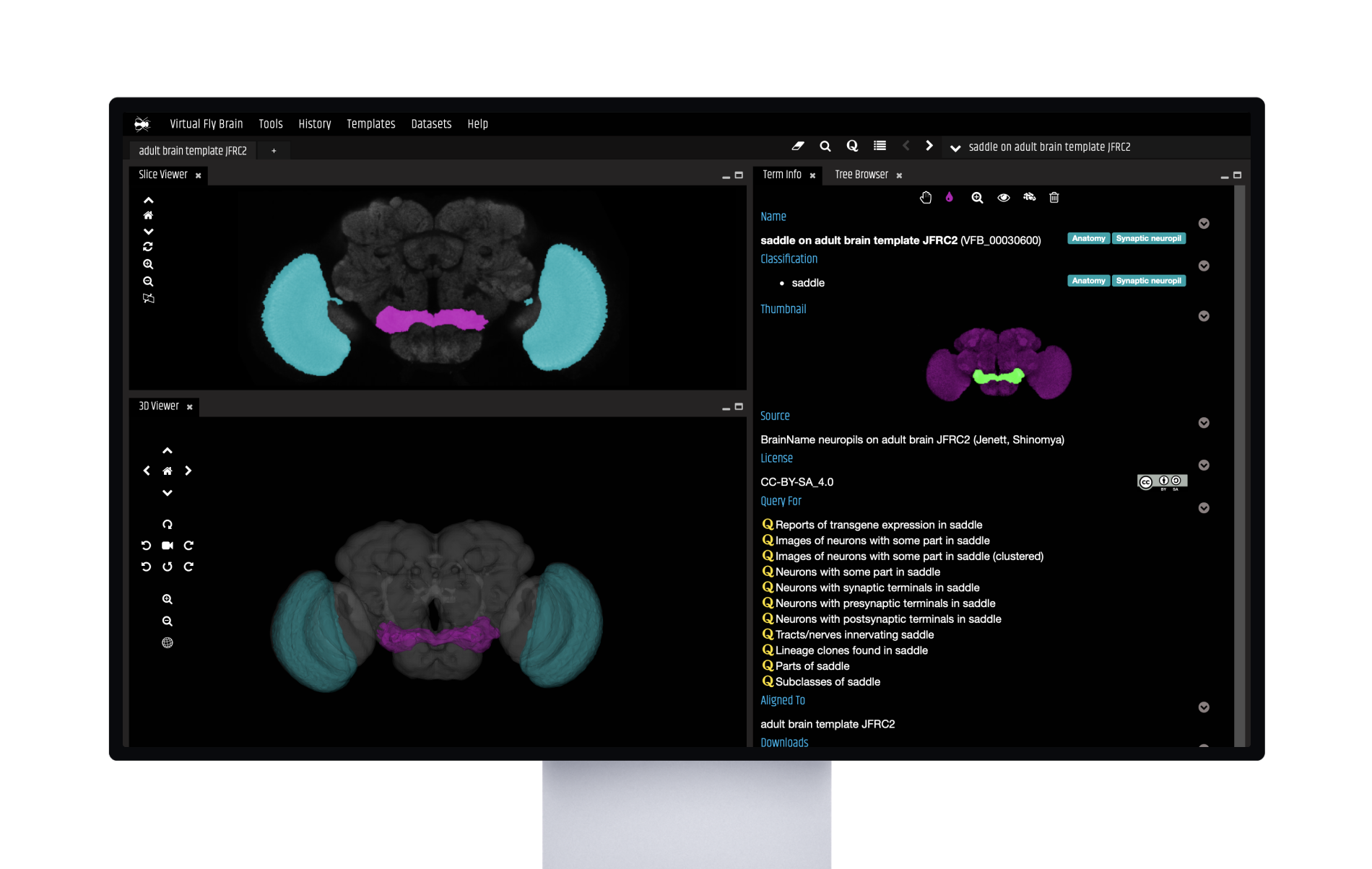 Screenshot of the project