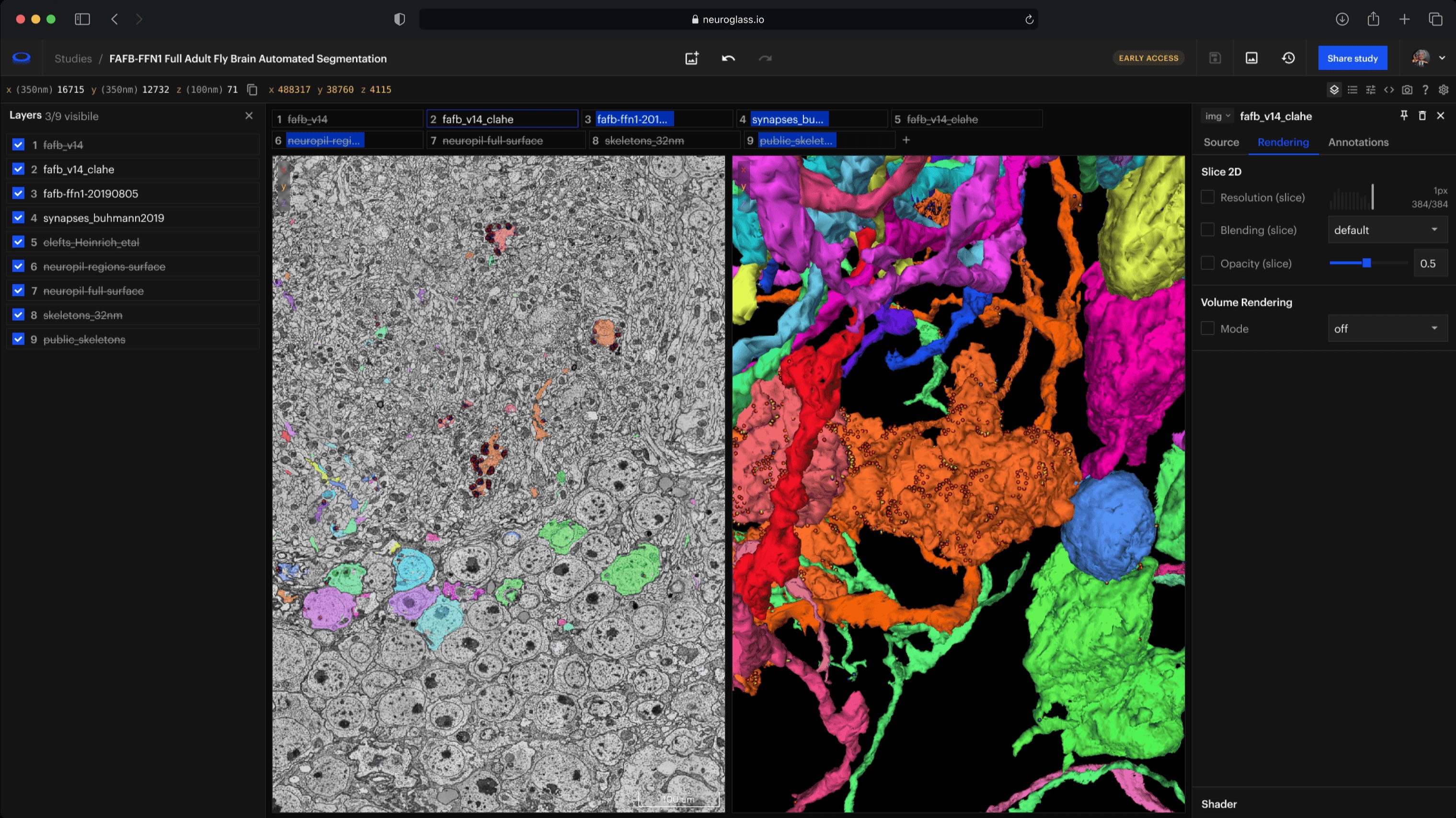 MetaCell updates: NeuroGlass, scientific UX, AI workshop, and more