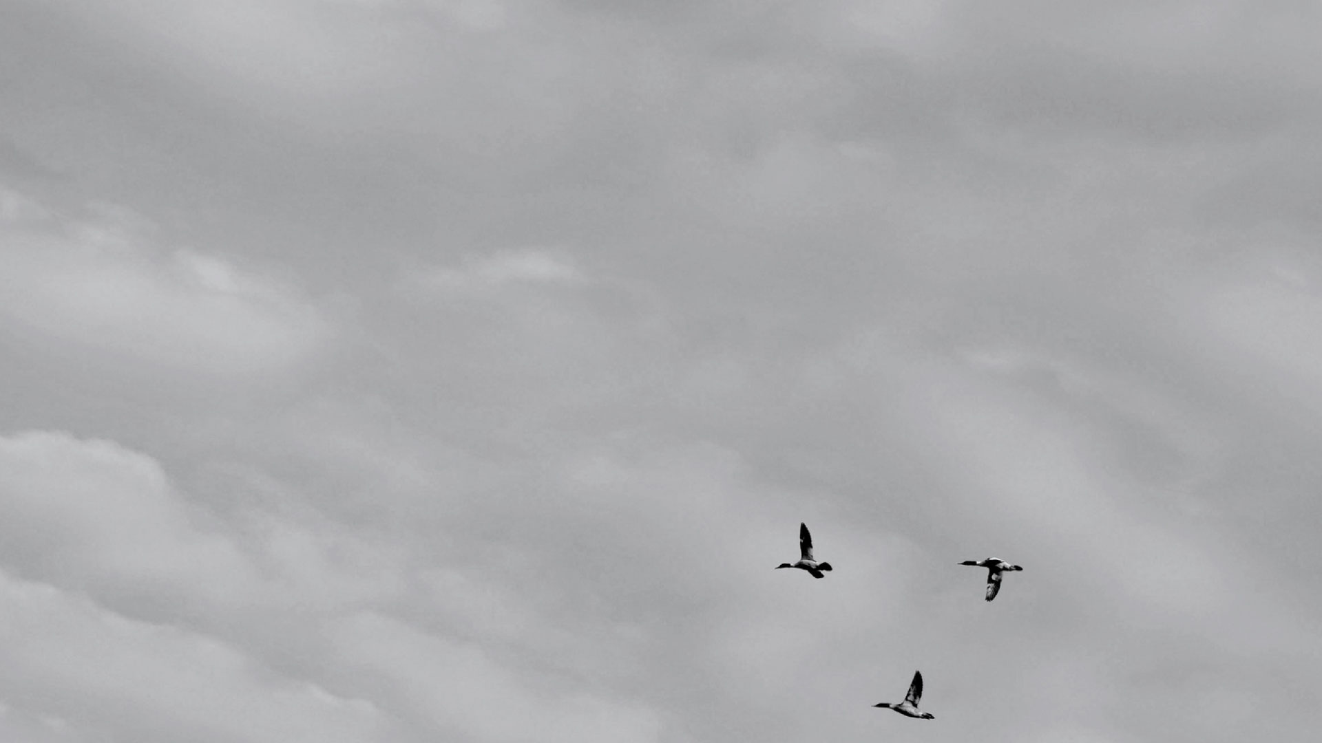 human trafficking prevention