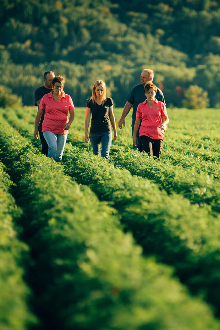2 hommes et 3 femmes marchant dans un champs ensoleillée