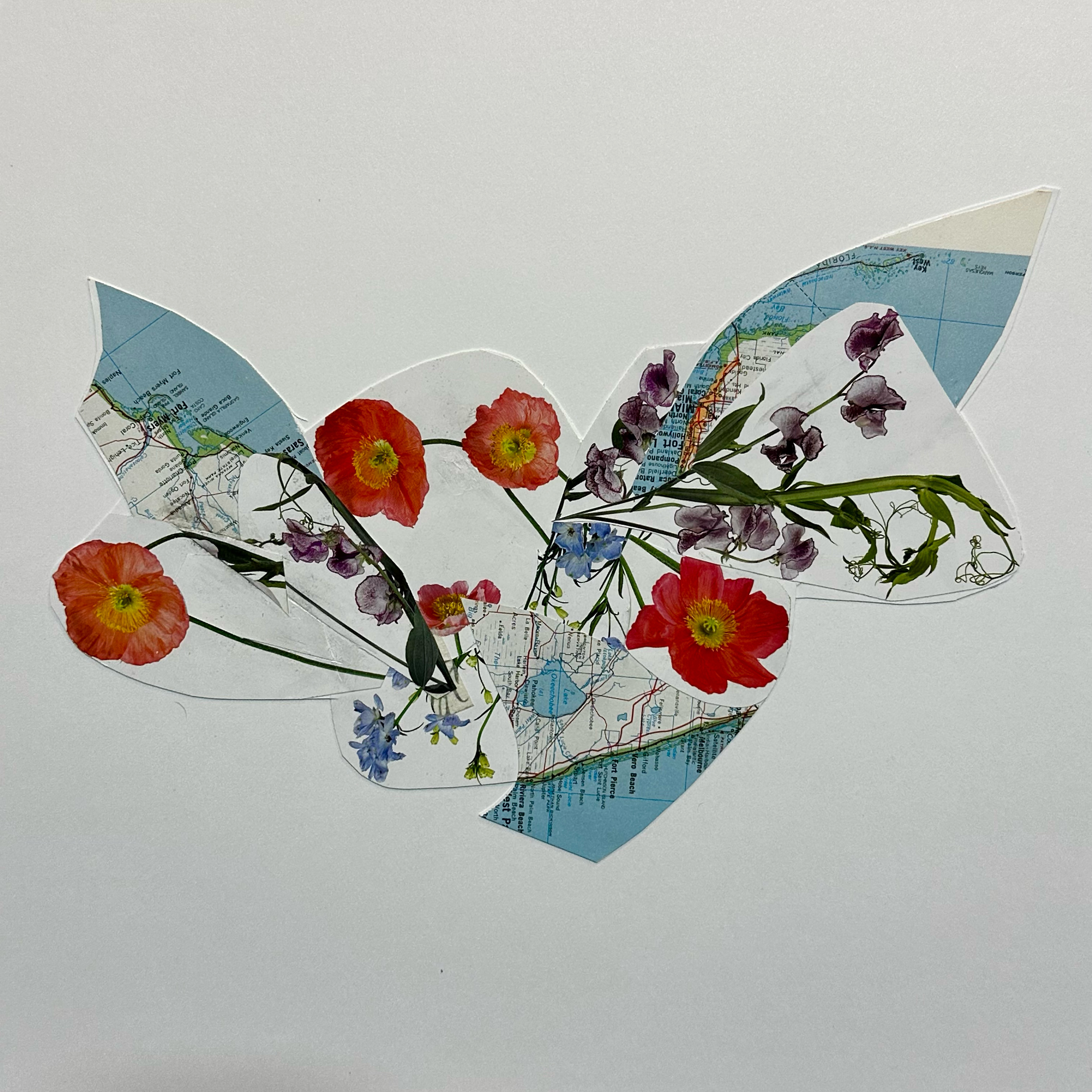 Sarah Soda (for David Byrne)