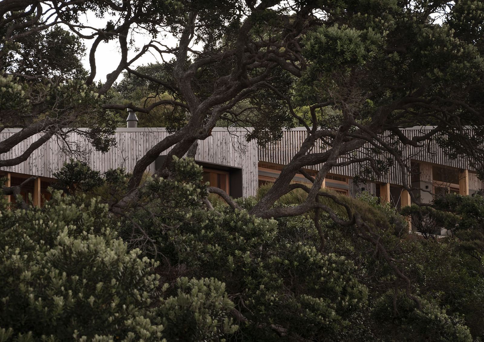 Pac Studio Pac Studio - Architecture & Interior Design | Auckland, New Zealand
