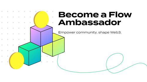 Introducing the Flow Ambassador program