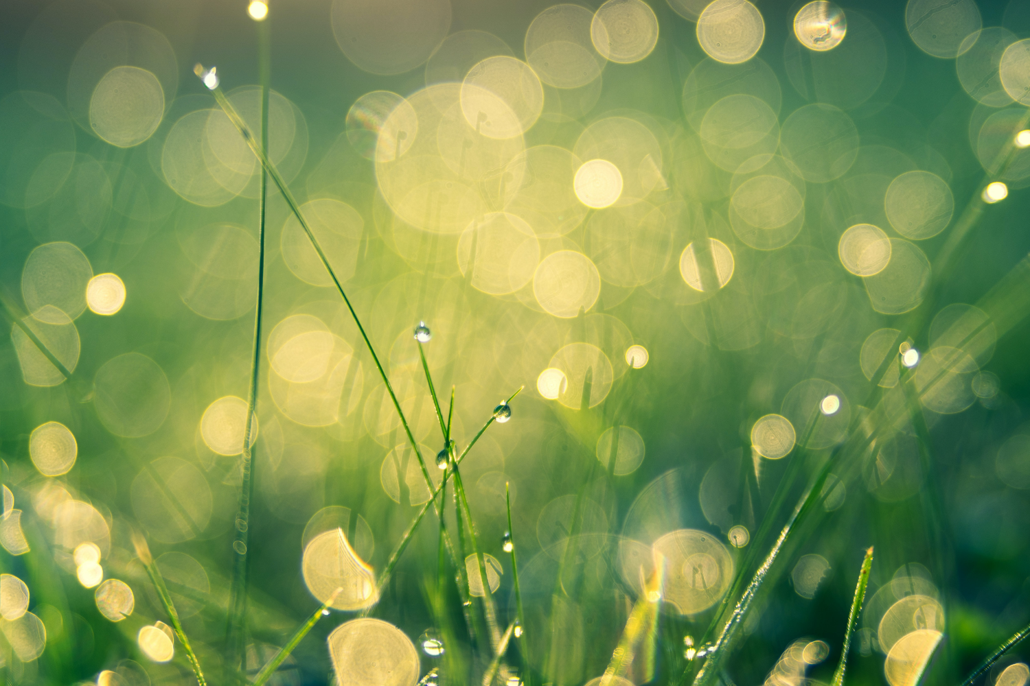 Harmony Massage online training header
