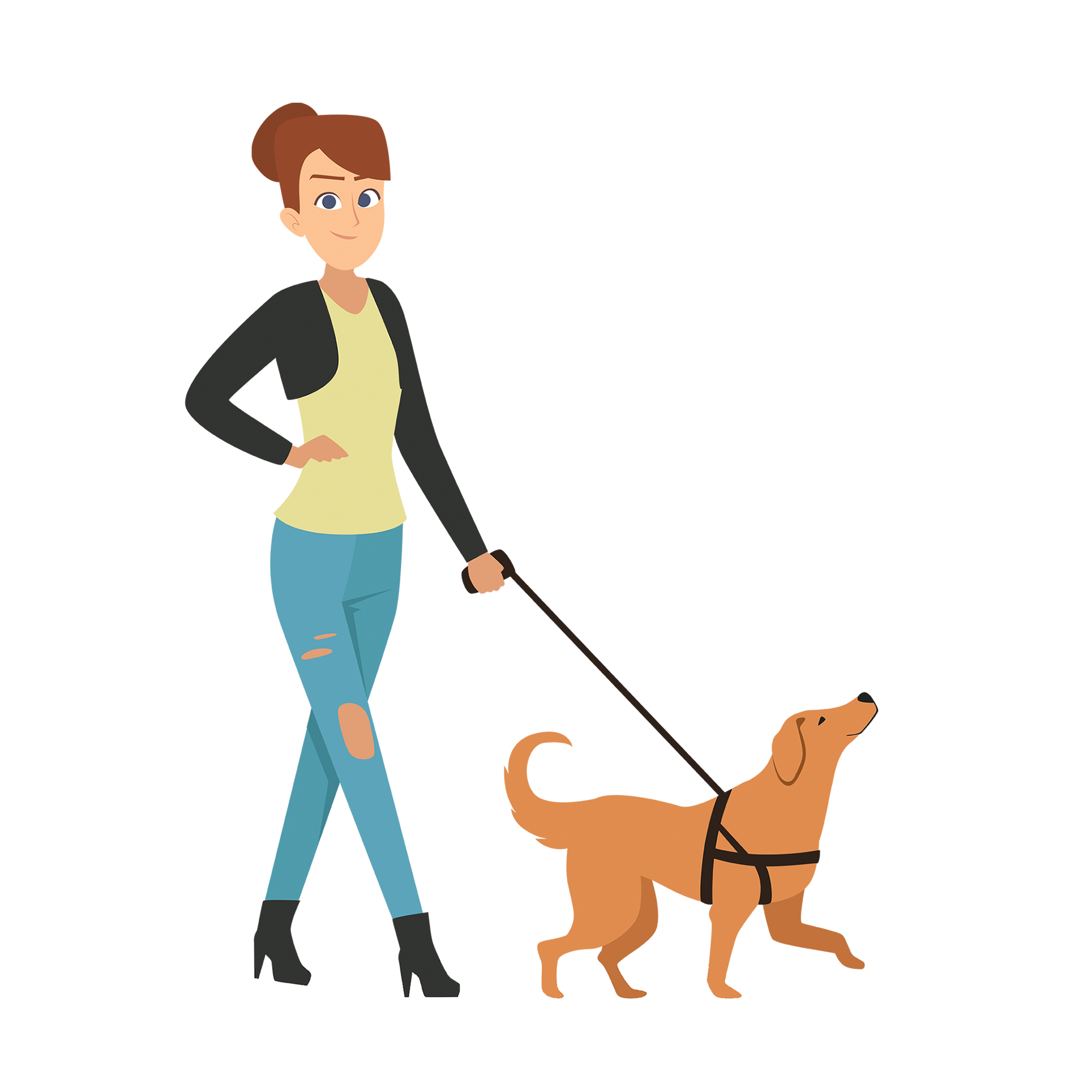 Dog walker insurance