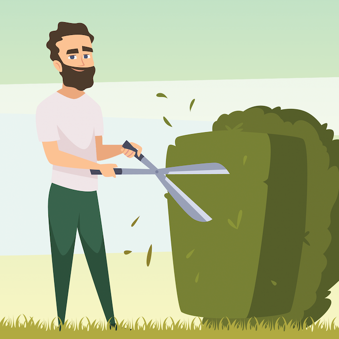 What insurance do I need for my gardening business