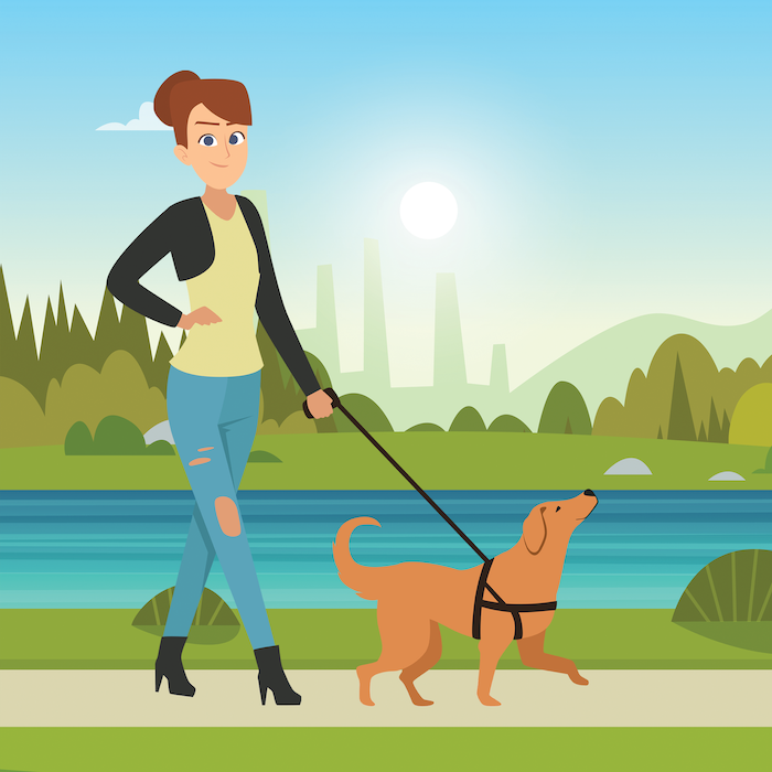 How to become a dog walker