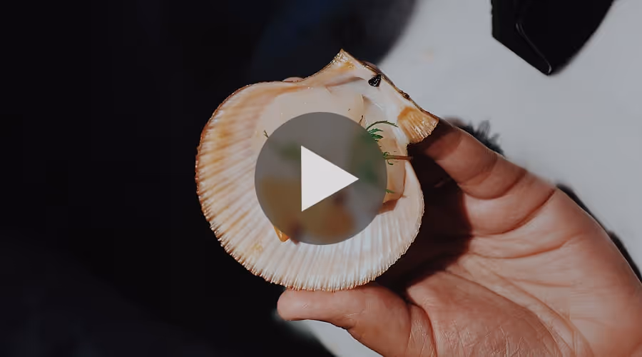 Vide placeholder with play button. Placeholder has a hand holding a shell. 