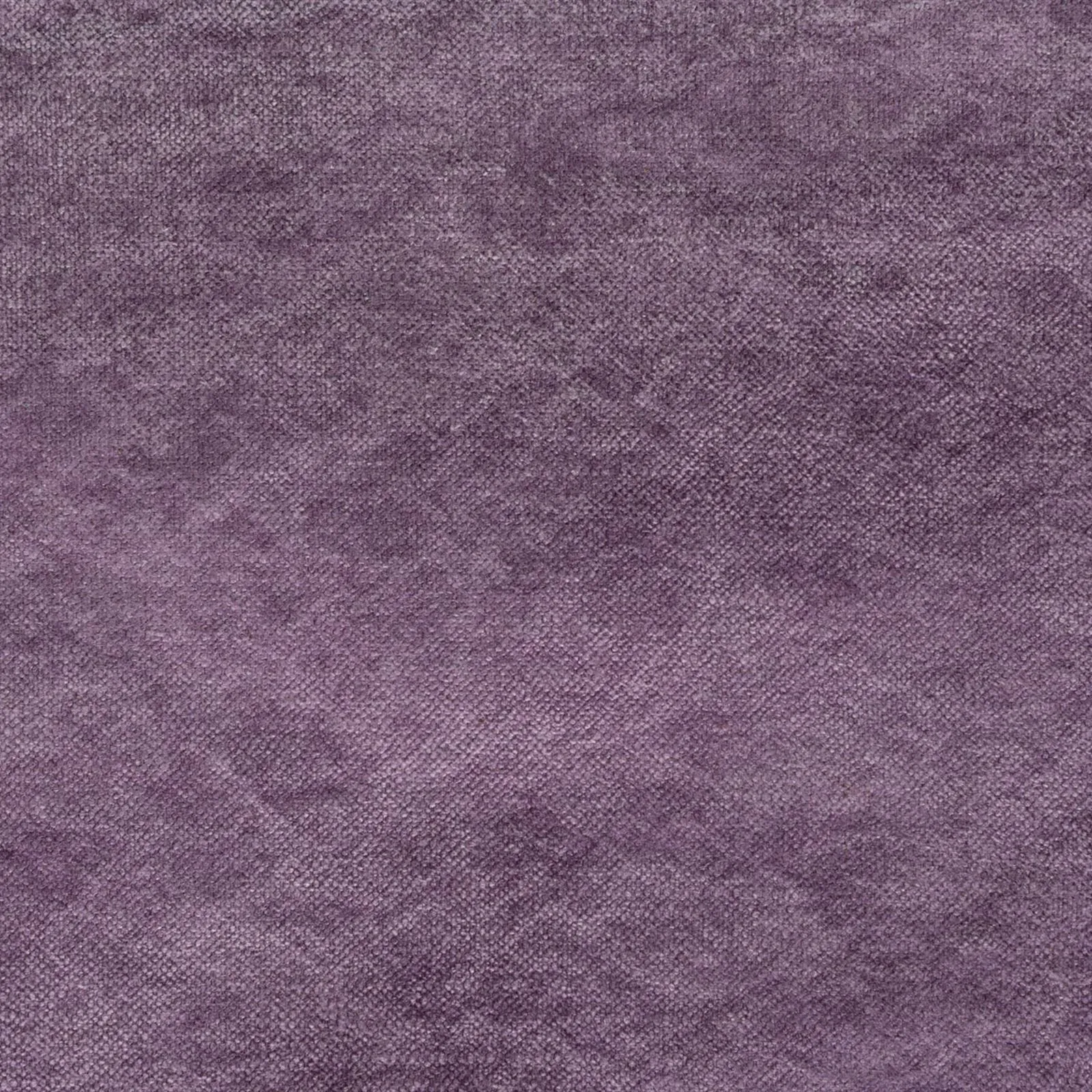 affection - purple - 1502809-02