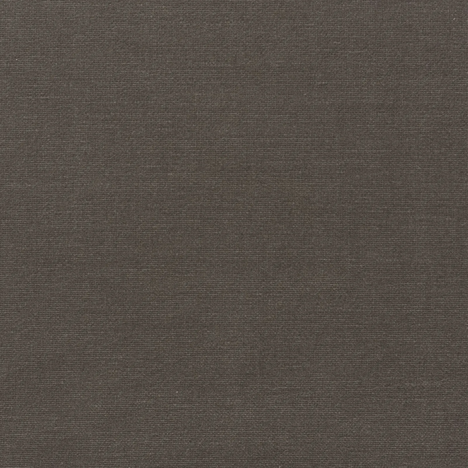 benefit - wenge - 8202665-01