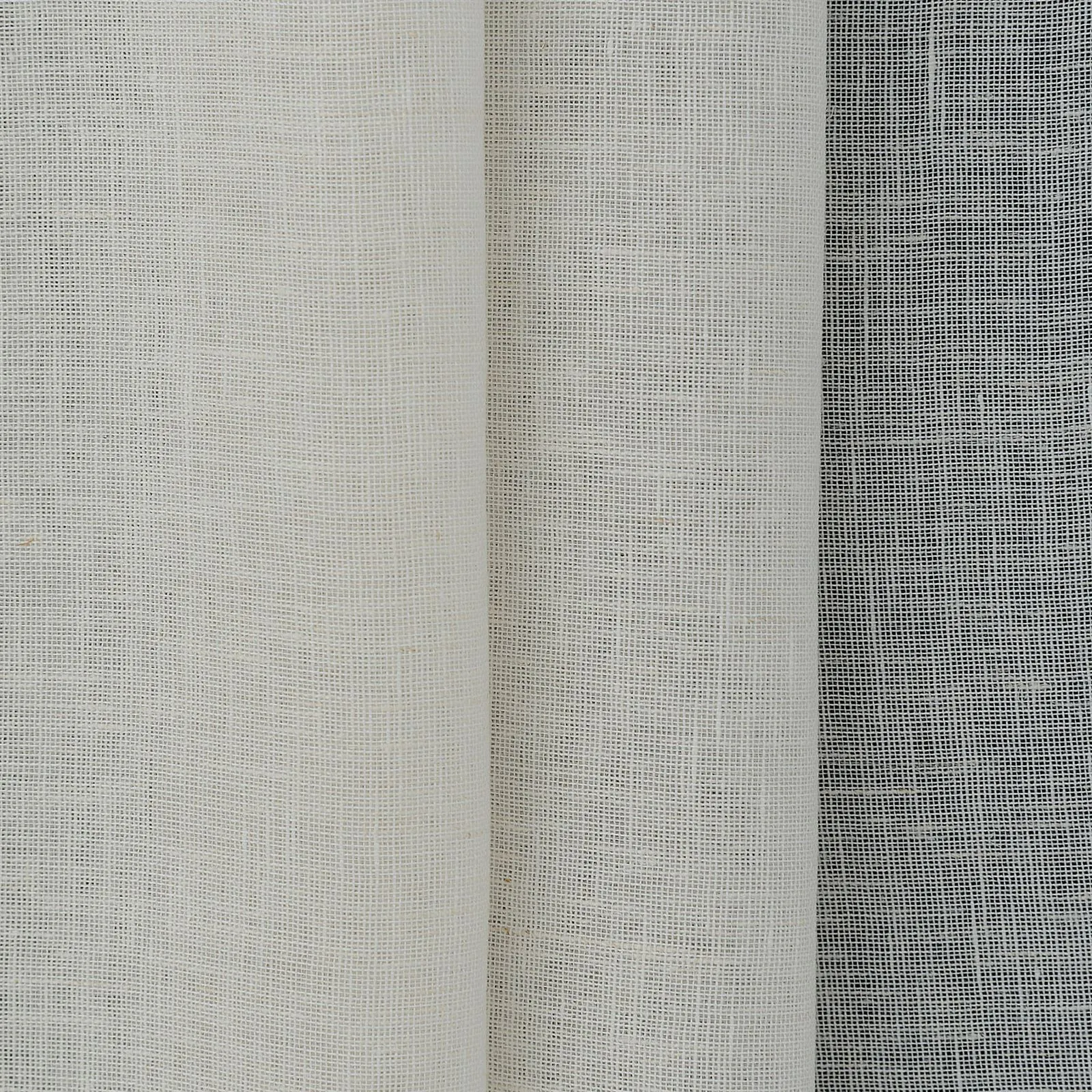 emphasis - natur - 8431211-01