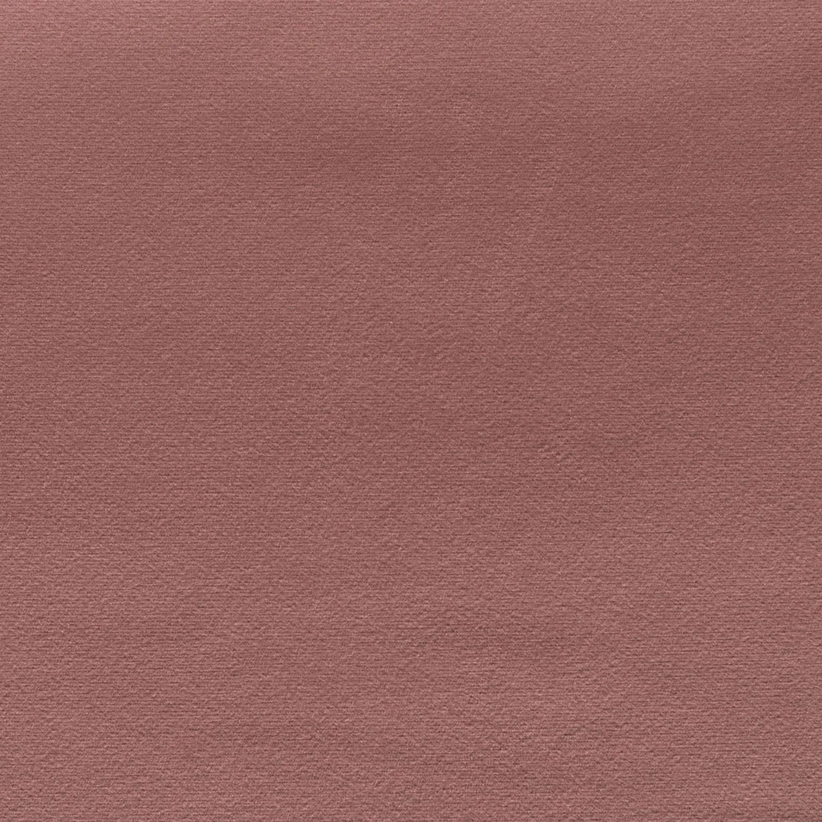 forte - ancient pink - 9403309-12
