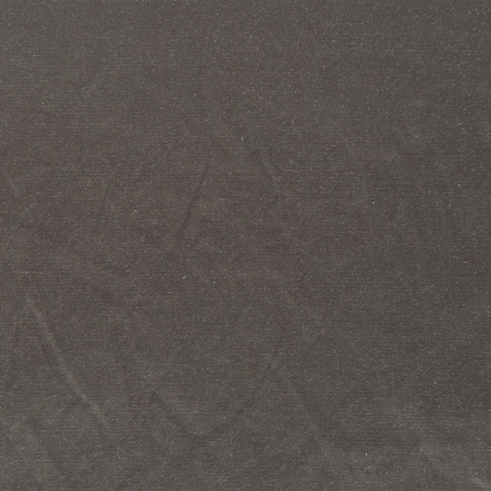 luxury - elephant - 4805068-01