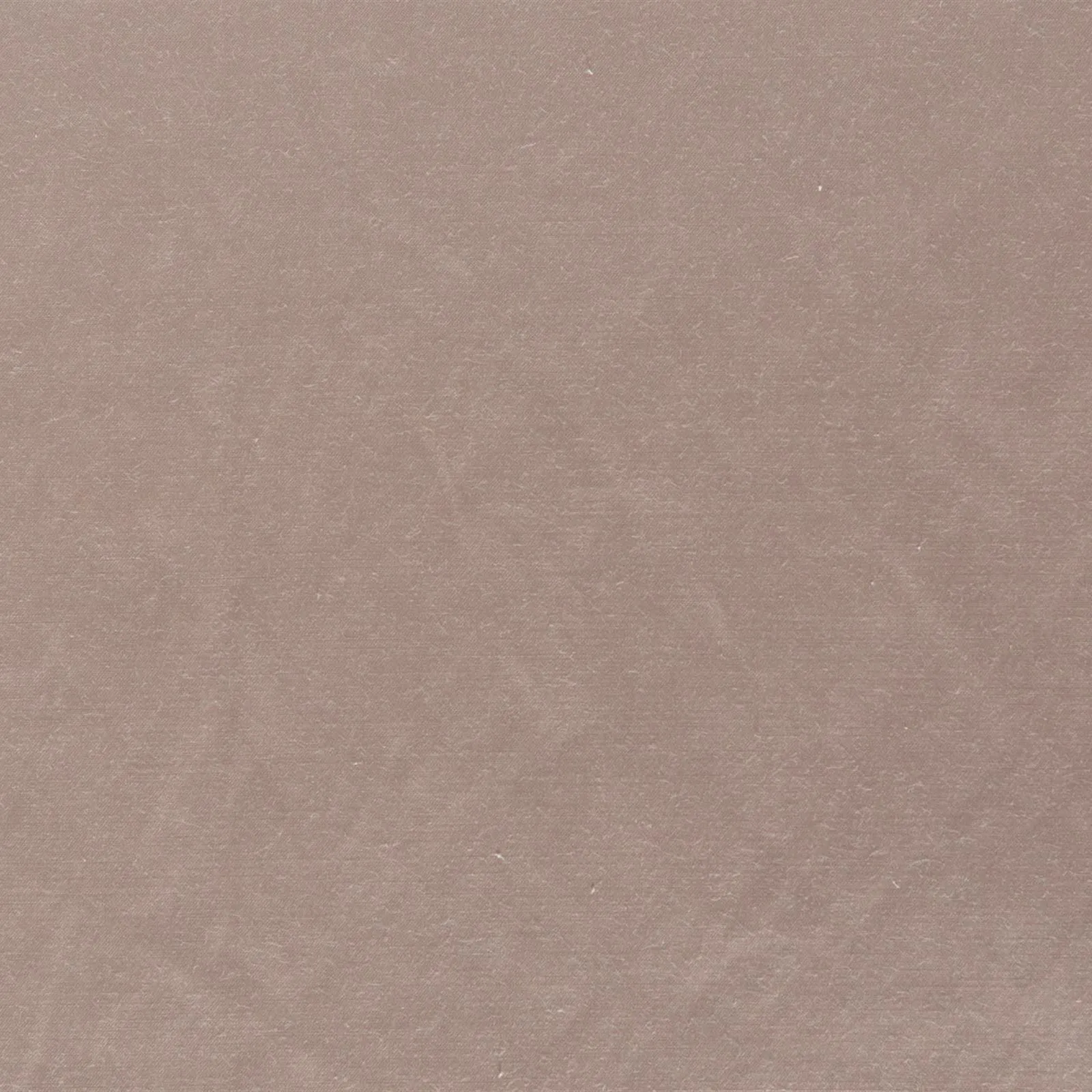 luxury - pearl - 4805085-01