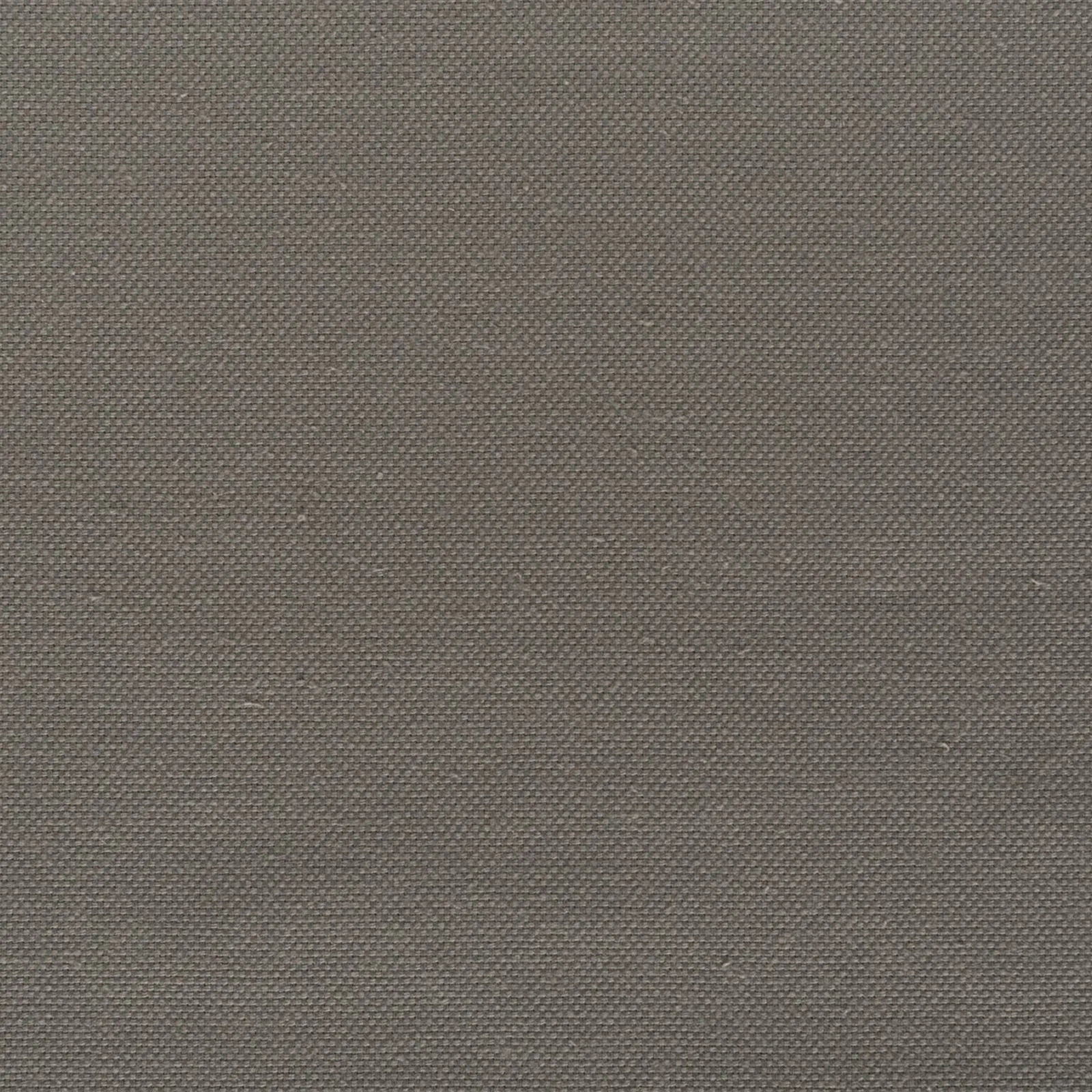 lycabetus - dark grey - 35-2609-20