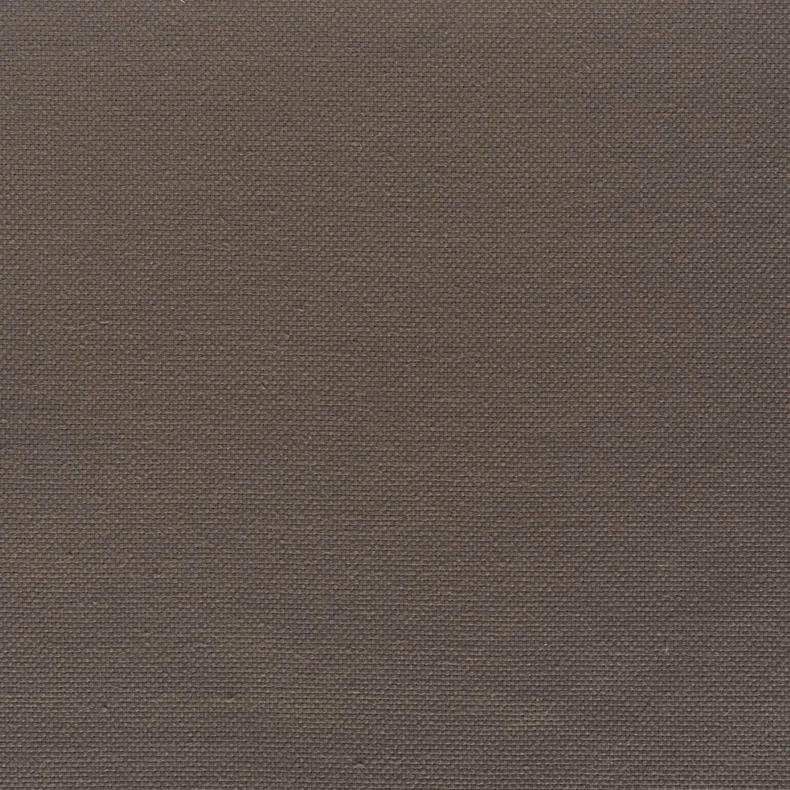lycabetus - elephant - 35-2609-01