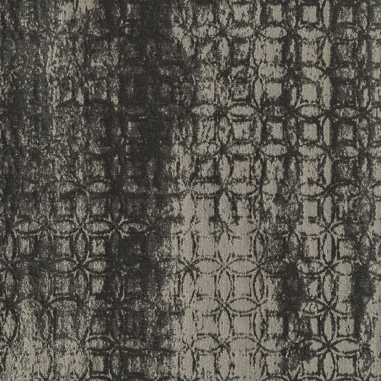 monadic - elephant - 1101868-01