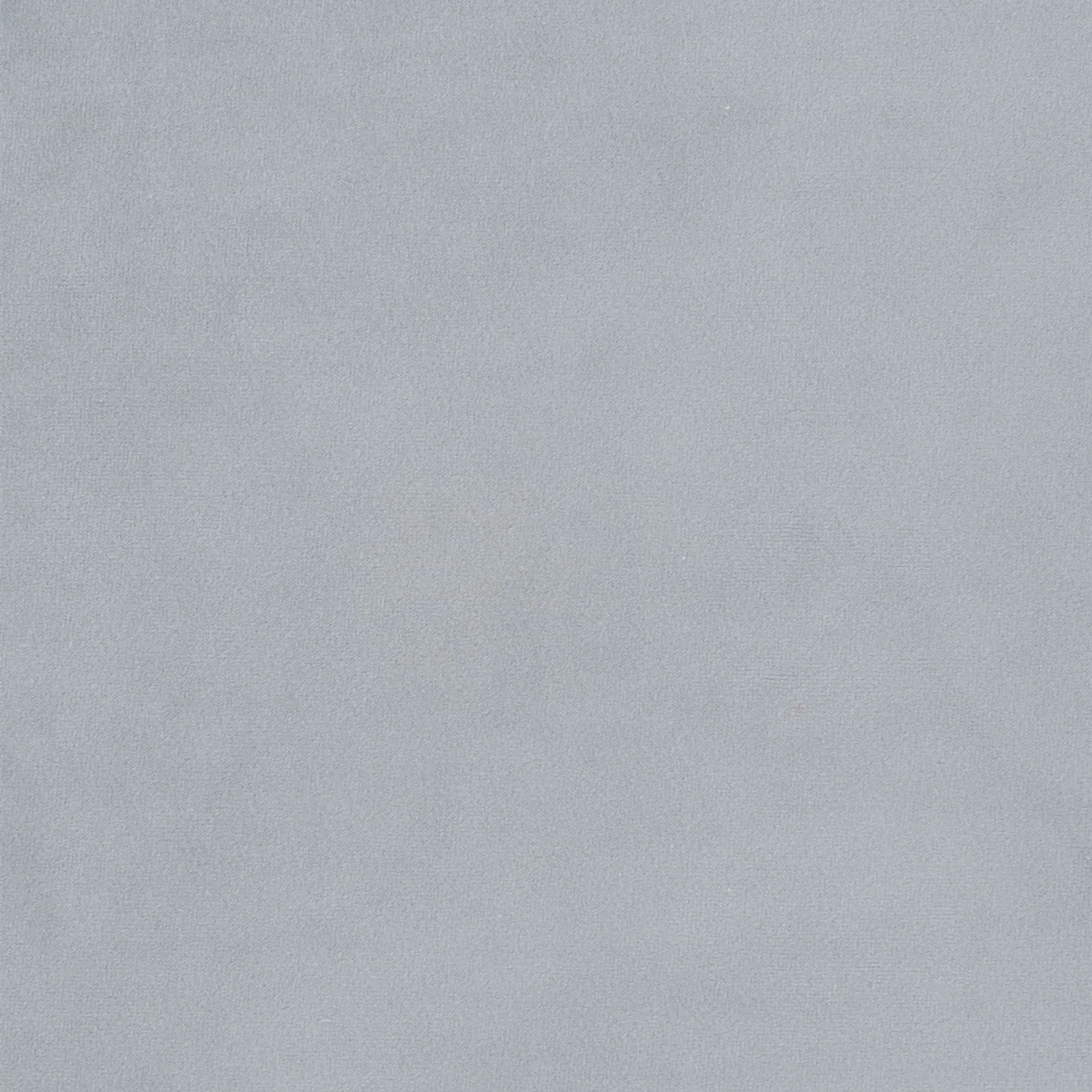 paradise - light grey - 1483364-01
