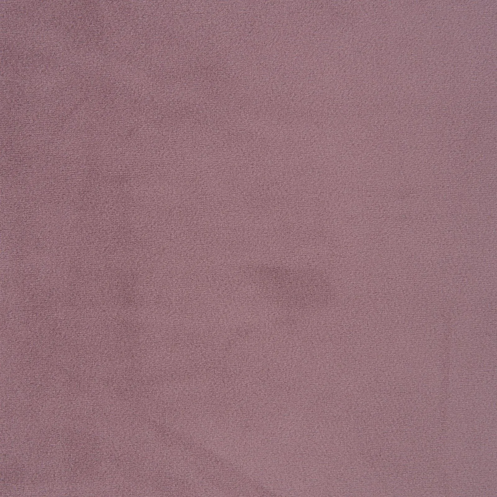 paradise - ancient pink - 1483358-01
