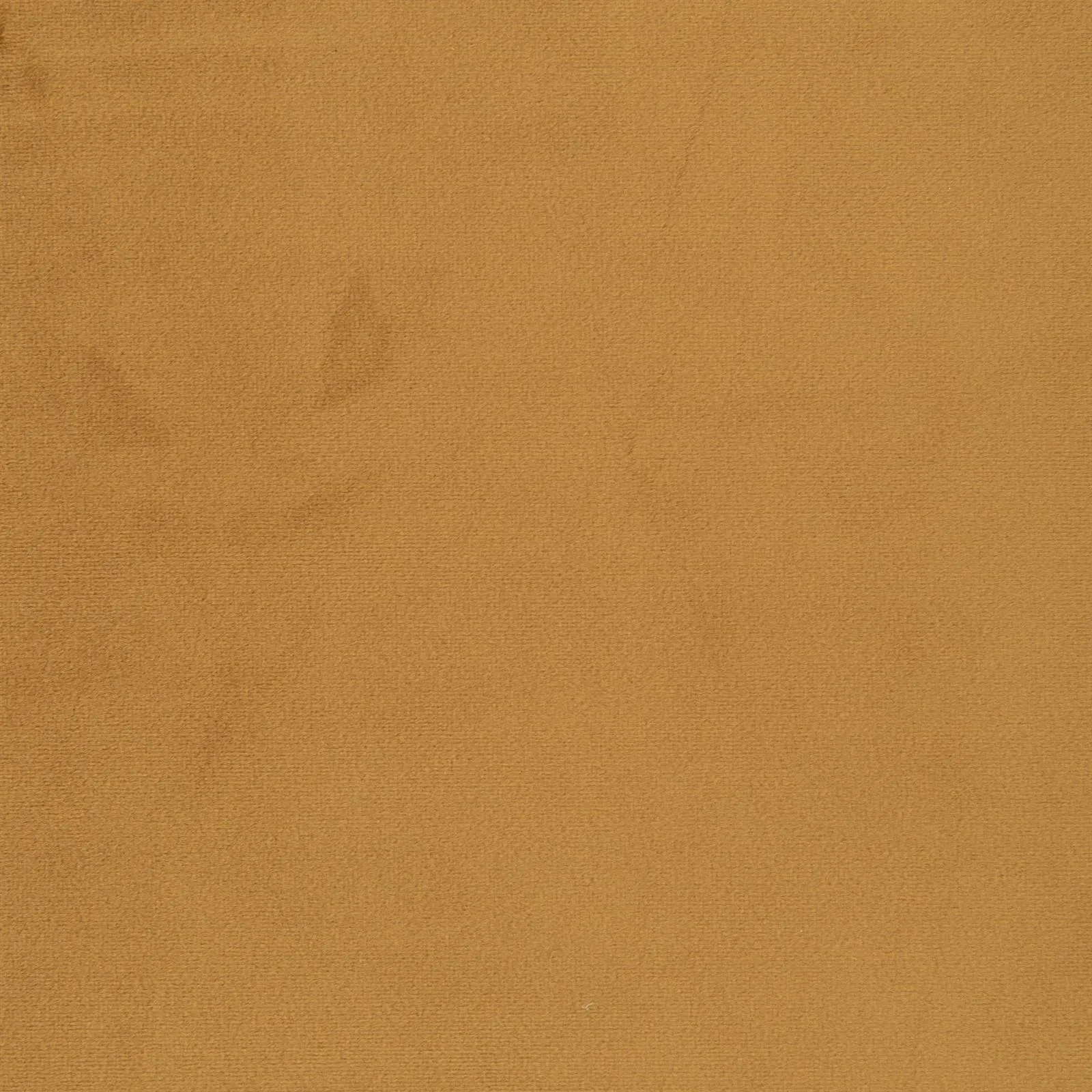 paradise - mustard - 1483353-01