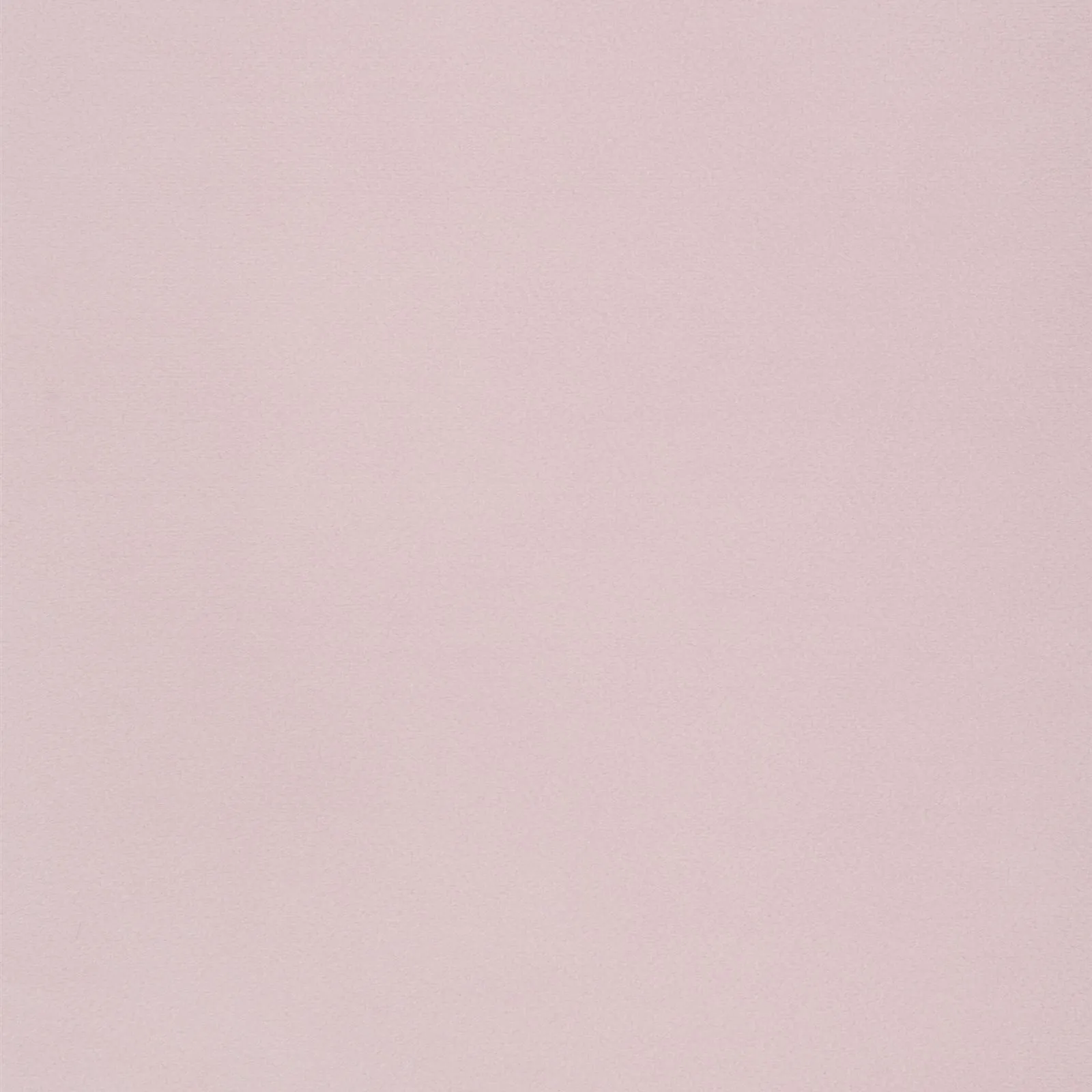 paradise - light pink - 1483325-01