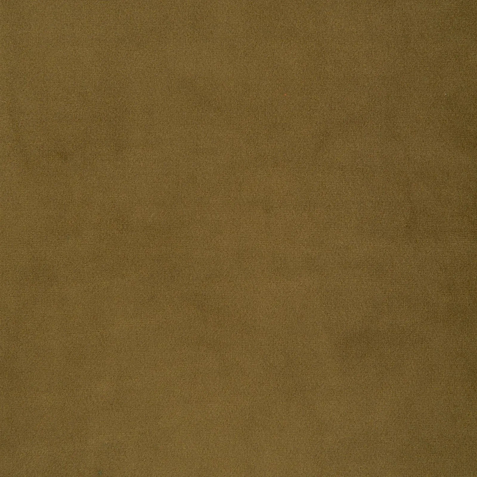 paradise - olive - 1483336-01