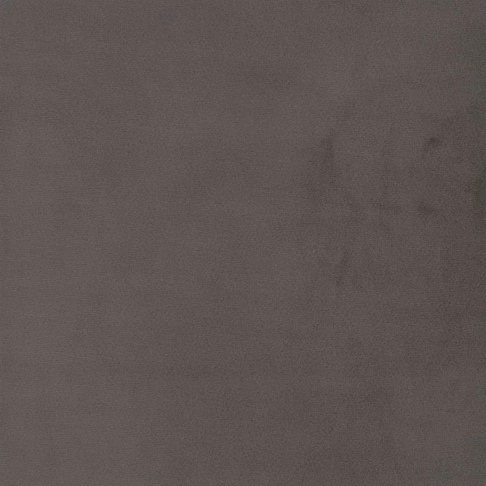 paradise - mocha - 1483357-01